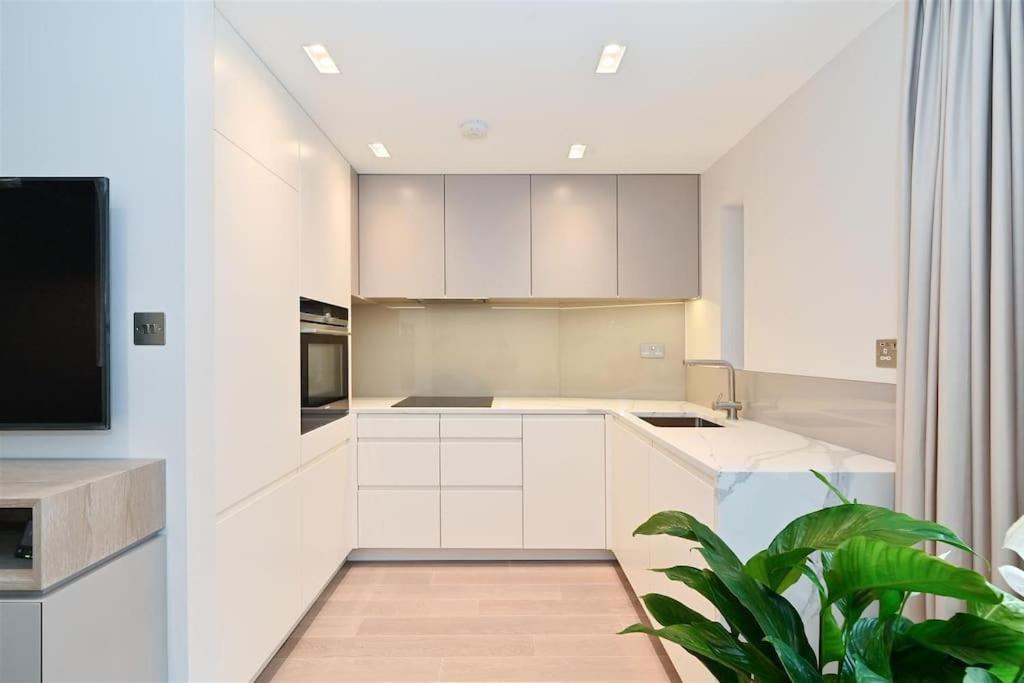Ultra Luxury 3 Bed Mayfair Apartment Londra Dış mekan fotoğraf